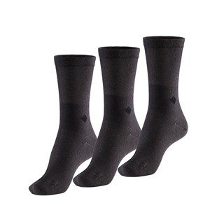 Koku Yapmayan Soket Kadın Füme Gümüş Çorap 3'lü Paket